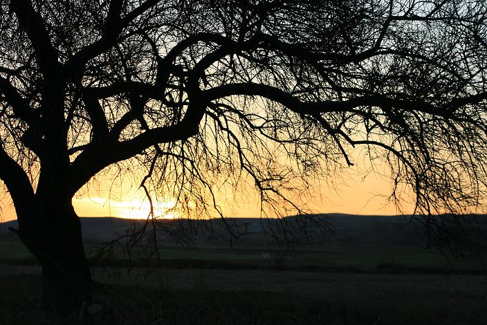 Foto de Peñafiel (Valladolid), España