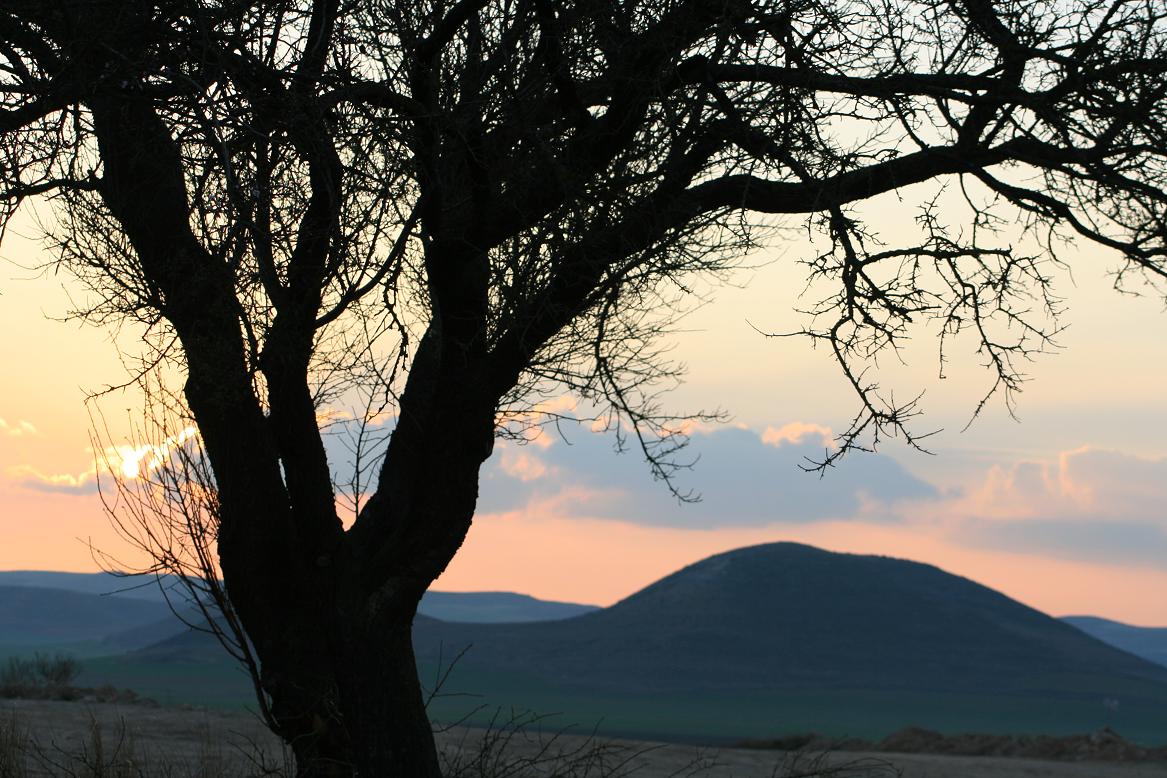 Foto de Peñafiel (Valladolid), España