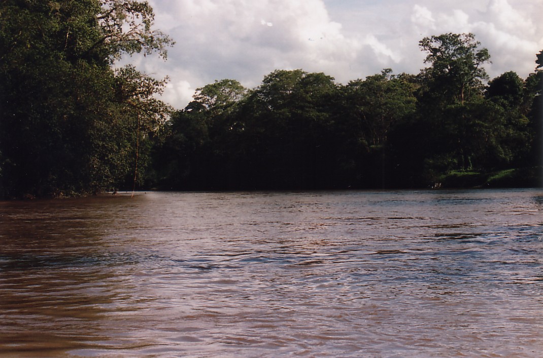 Foto de Sarapiquí, Costa Rica
