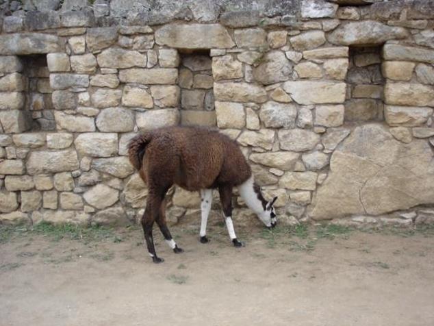 Foto de Machu Picchu, Perú