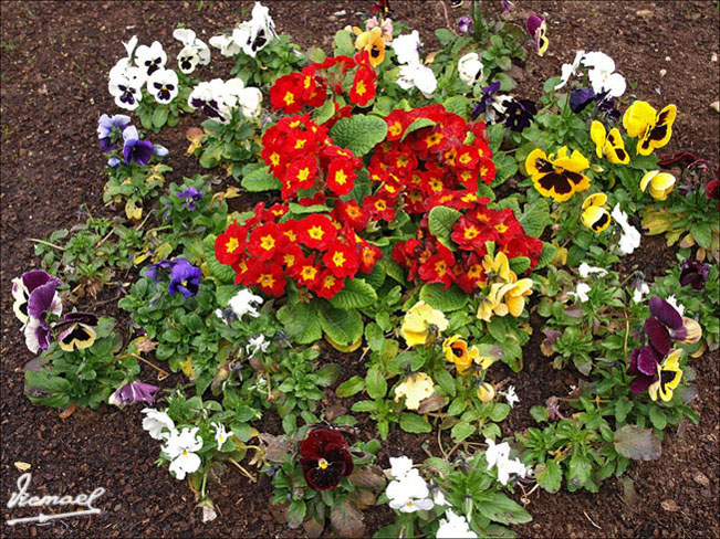 Foto de Betanzos (A Coruña), España