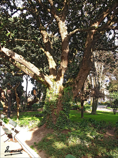 Foto de A Coruña (Galicia), España