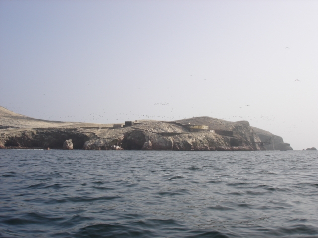 Foto de Islas Ballestas, Perú