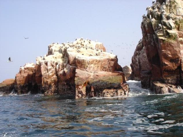 Foto de Islas Ballestas, Perú