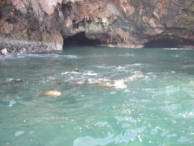 Foto de Islas Ballestas, Perú