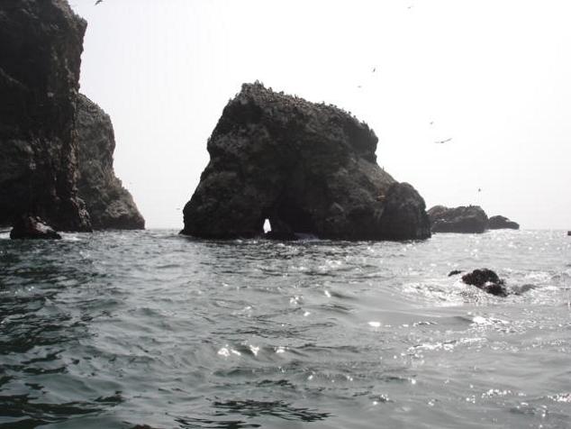 Foto de Islas Ballestas, Perú