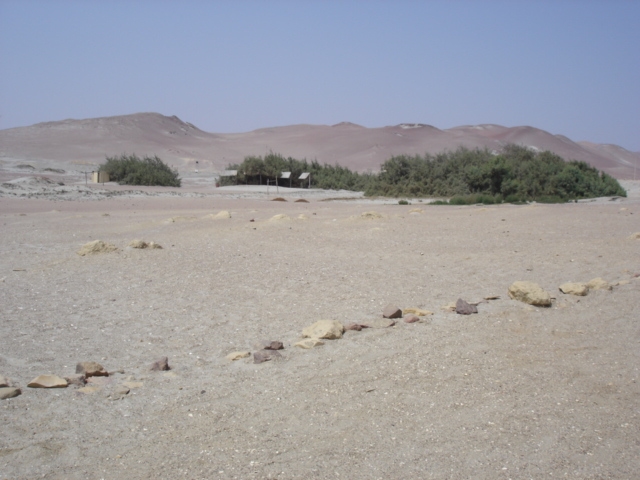 Foto de Paracas, Perú