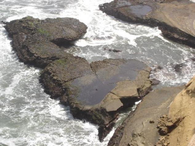 Foto de Paracas, Perú