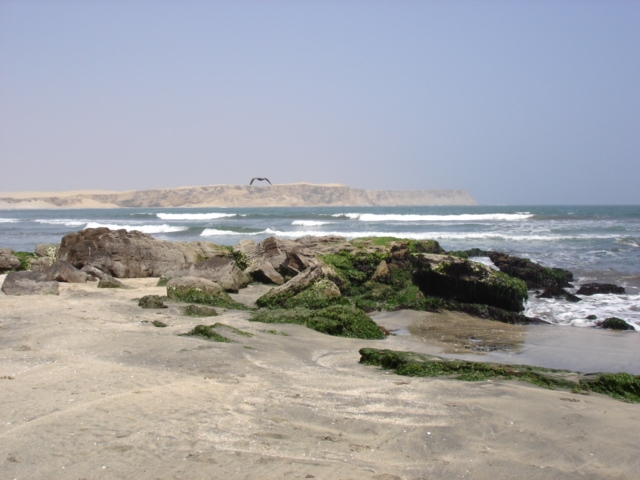 Foto de Paracas, Perú