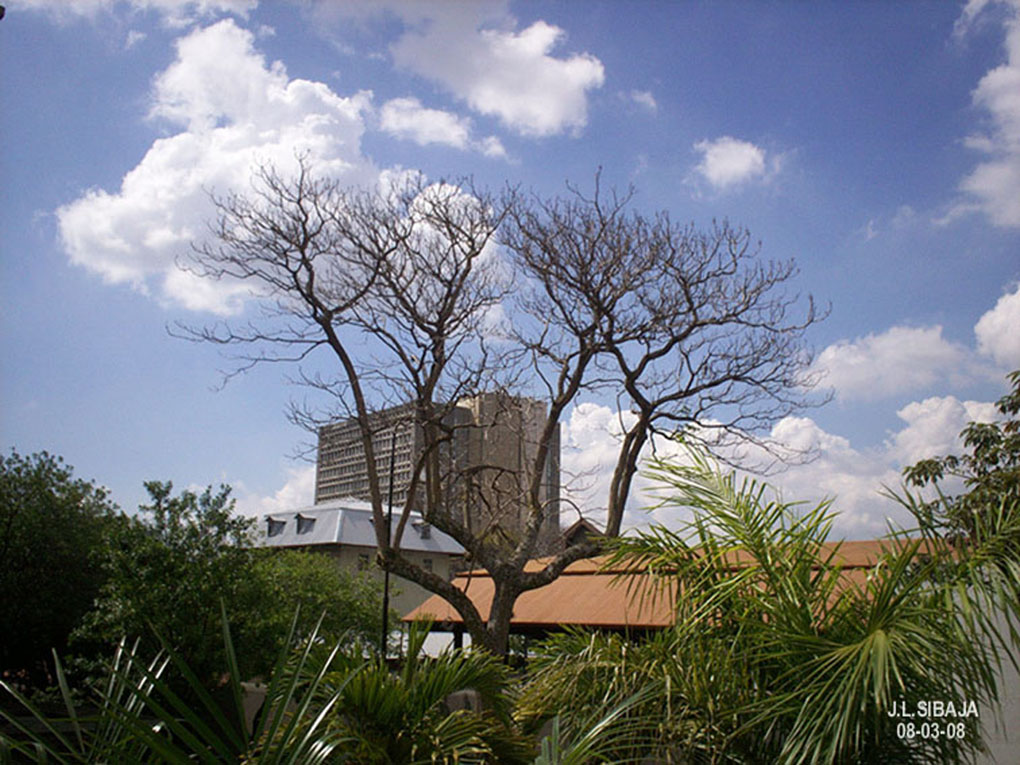 Foto de San José, Costa Rica