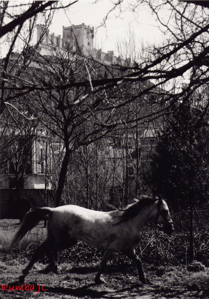 Foto de Peñafiel (Valladolid), España
