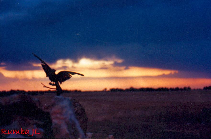 Foto de Peñafiel (Valladolid), España