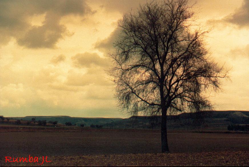 Foto de Peñafiel (Valladolid), España