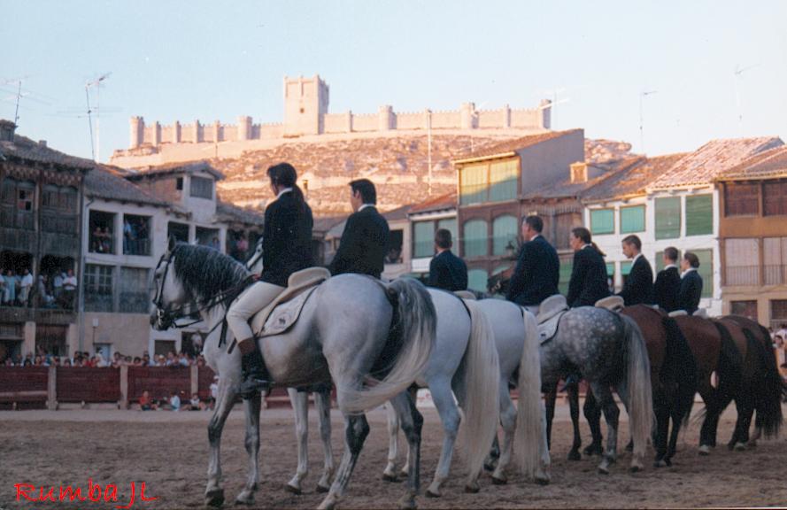 Foto de Peñafiel (Valladolid), España