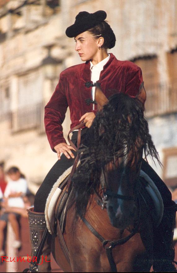 Foto de Peñafiel (Valladolid), España