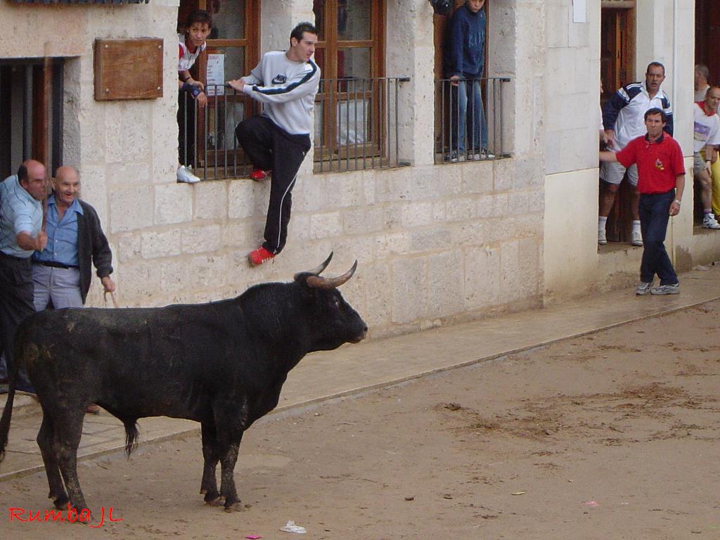 Foto de Peñafiel (Valladolid), España