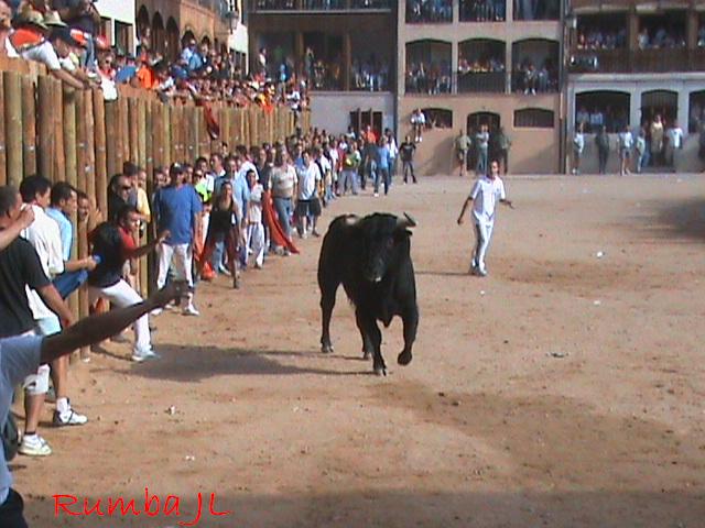 Foto de Peñafiel (Valladolid), España