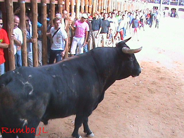 Foto de Peñafiel (Valladolid), España