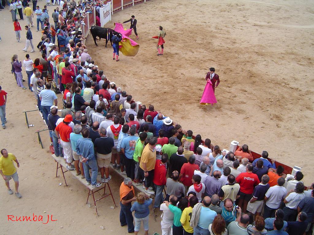 Foto de Peñafiel (Valladolid), España