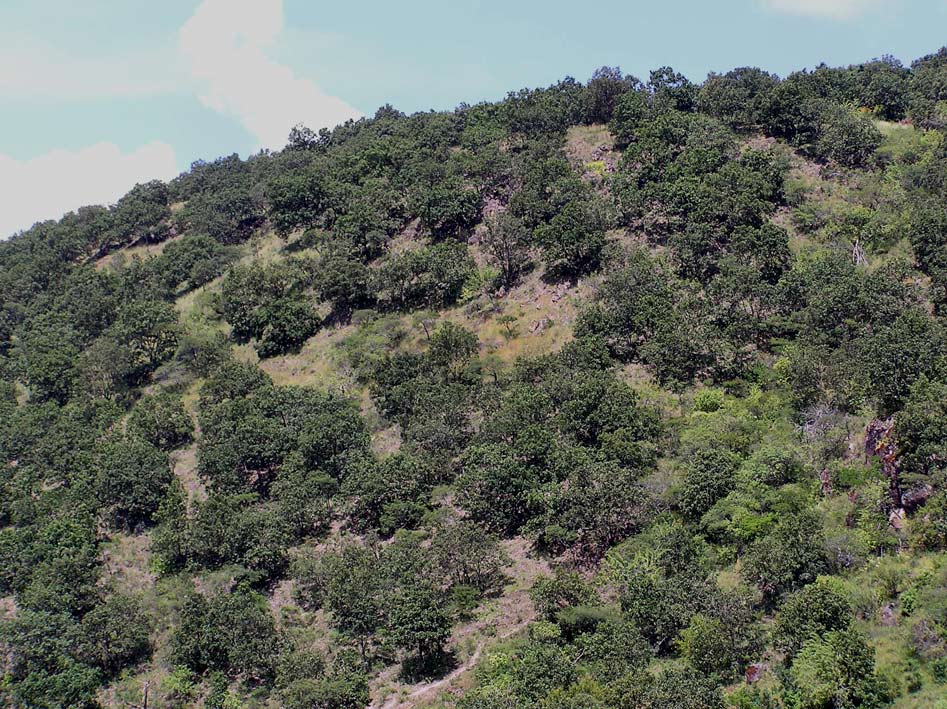 Foto de Taxco, México