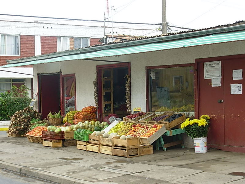 Foto de La Ligua, Chile