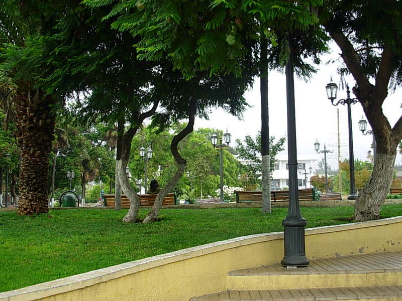 Foto de La Ligua, Chile