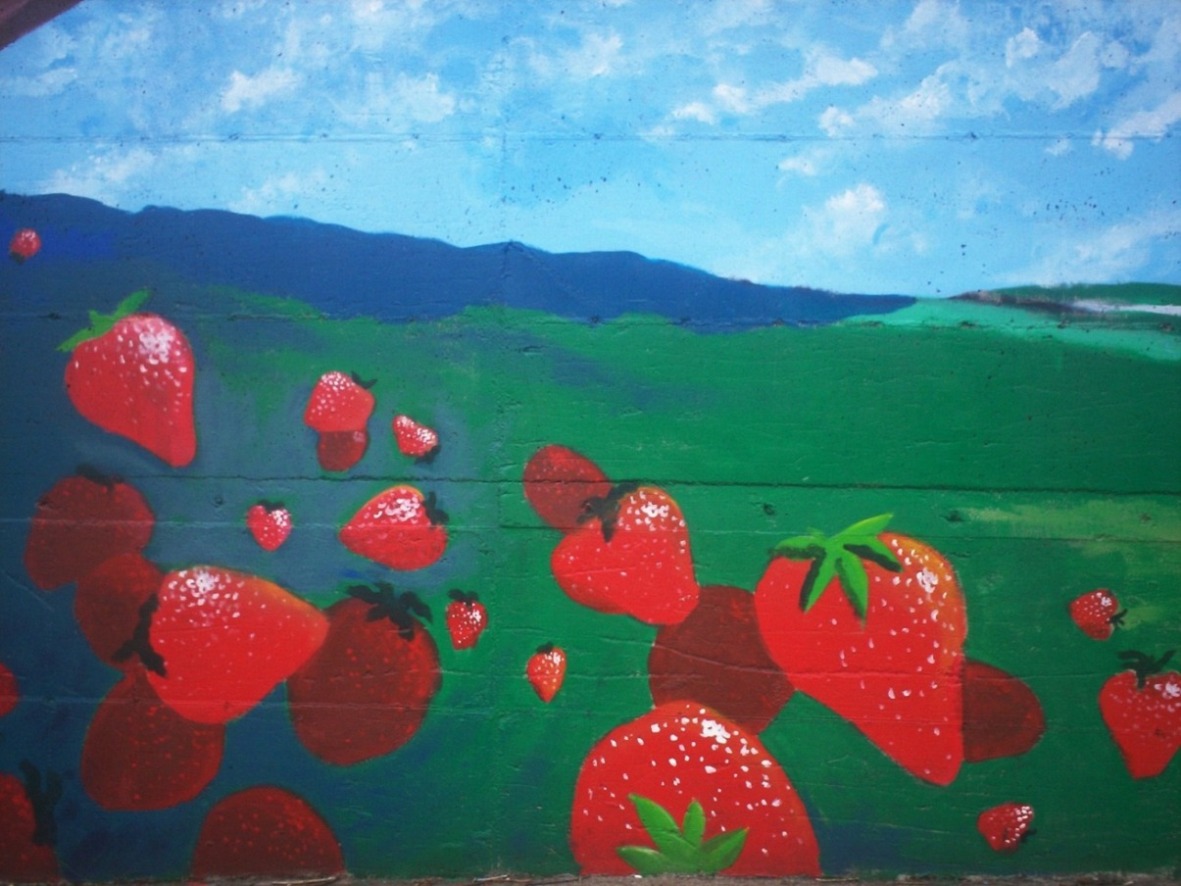 Foto de San Martín (Alajuela), Costa Rica