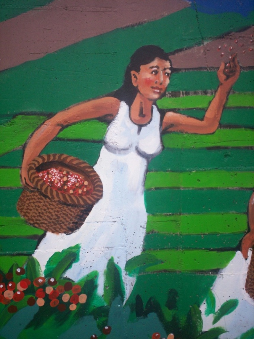 Foto de San Martín (Alajuela), Costa Rica