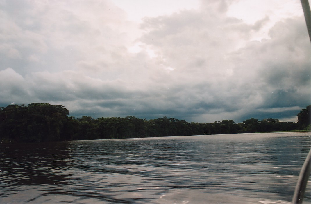 Foto de Tortuguero, Costa Rica