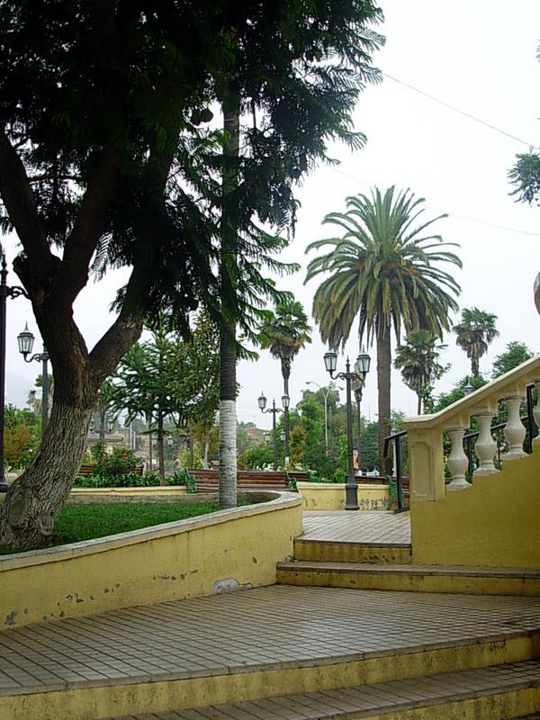 Foto de La Ligua, Chile