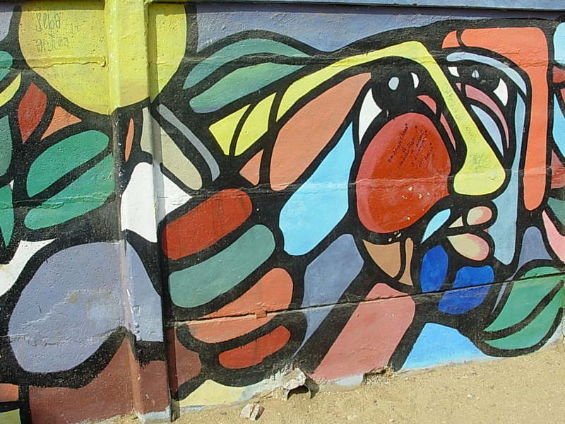 Foto de La Ligua, Chile