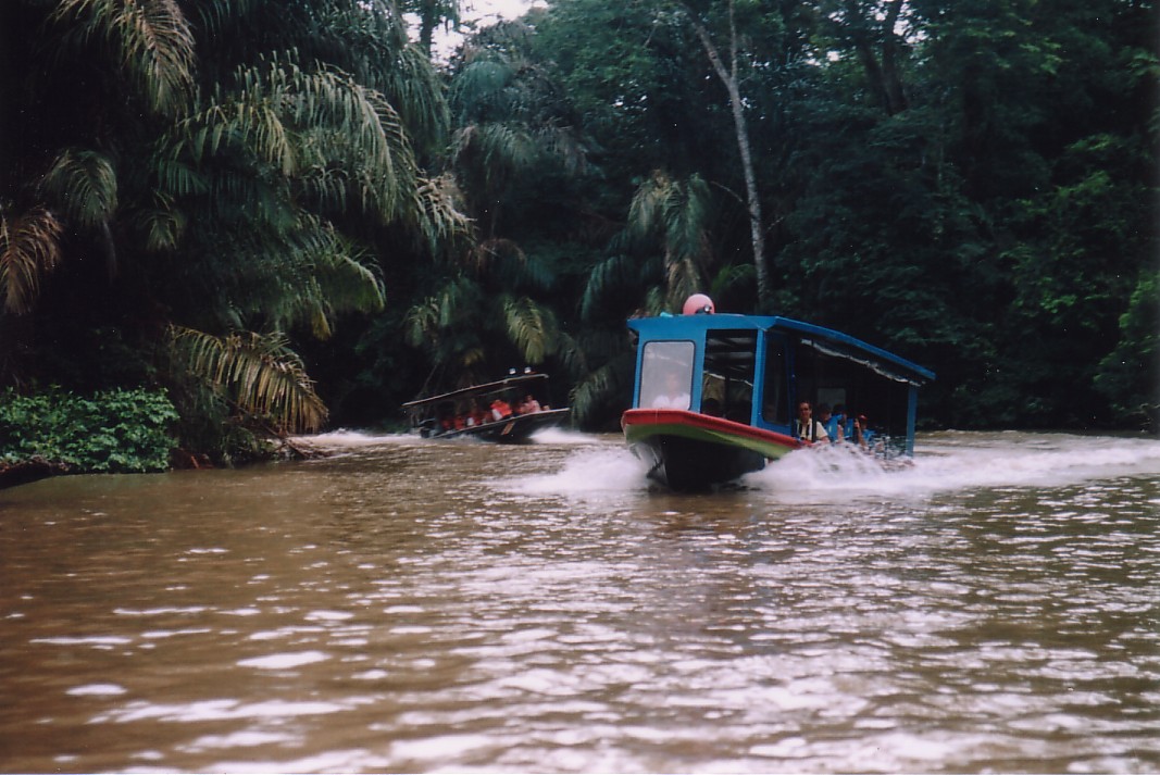 Foto de Tortuguero, Costa Rica