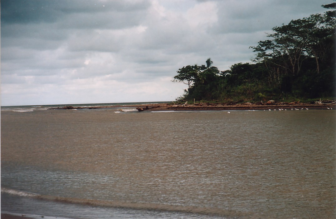 Foto de Tortuguero, Costa Rica