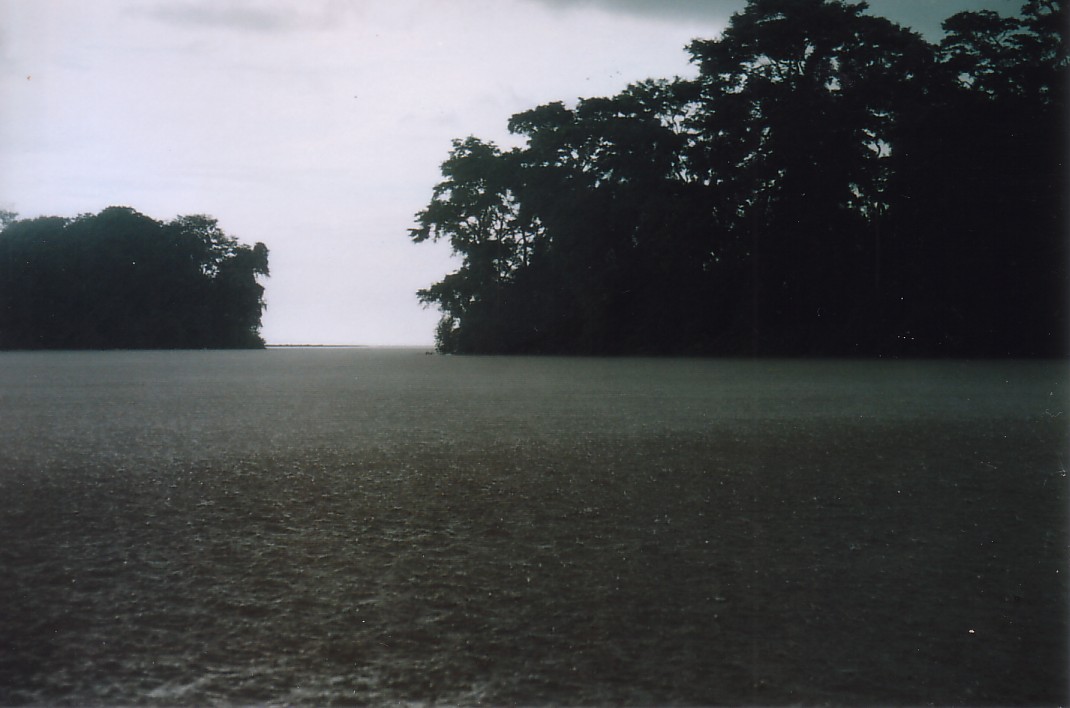 Foto de Tortuguero, Costa Rica