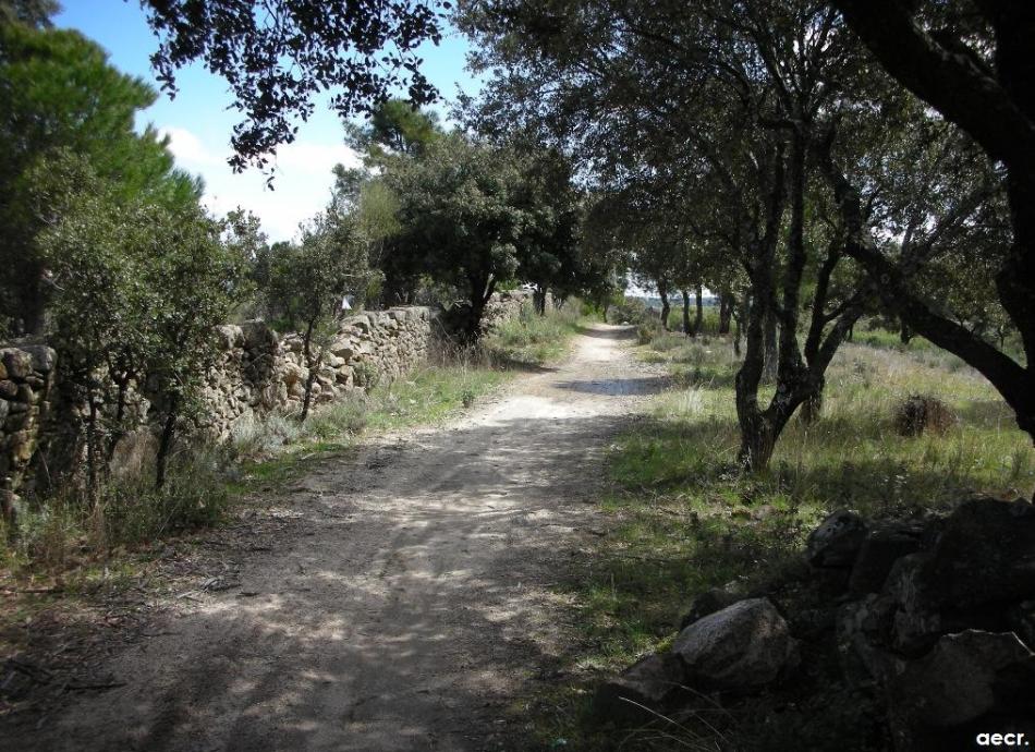 Foto de Valdemorillo (Madrid), España