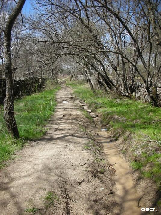 Foto de Valdemorillo (Madrid), España