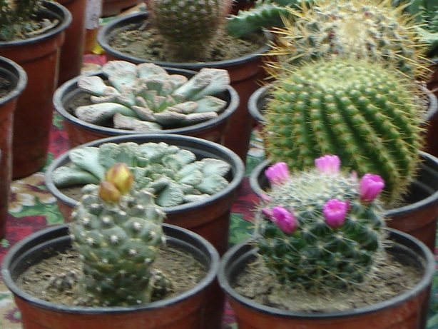 Foto de Buenos Aires, Argentina