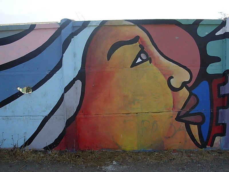 Foto de La Ligua, Chile