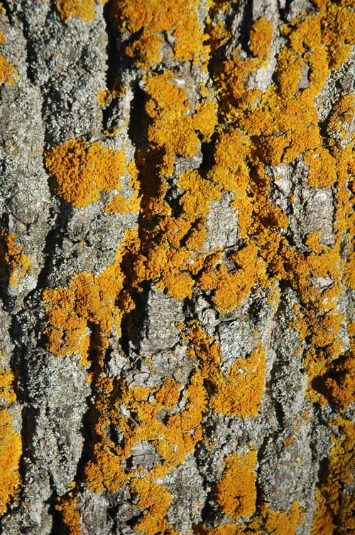 Foto de Entrepeñas (Guadalajara), España