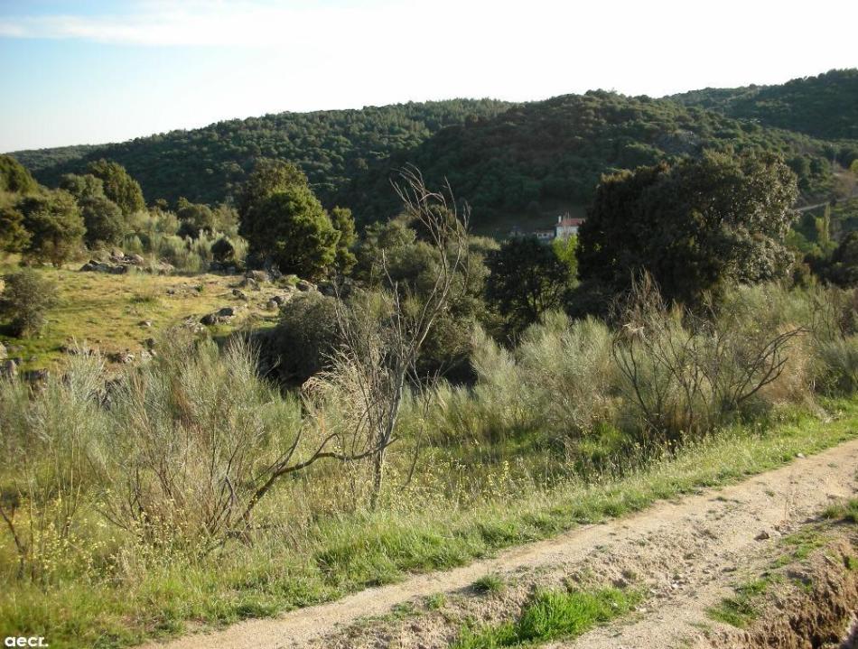 Foto de Villanueva del Pardillo (Madrid), España