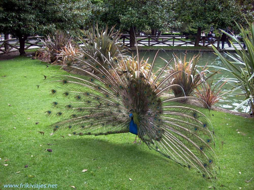 Foto de Oviedo (Asturias), España