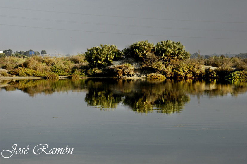 Foto de Cádiz (Andalucía), España