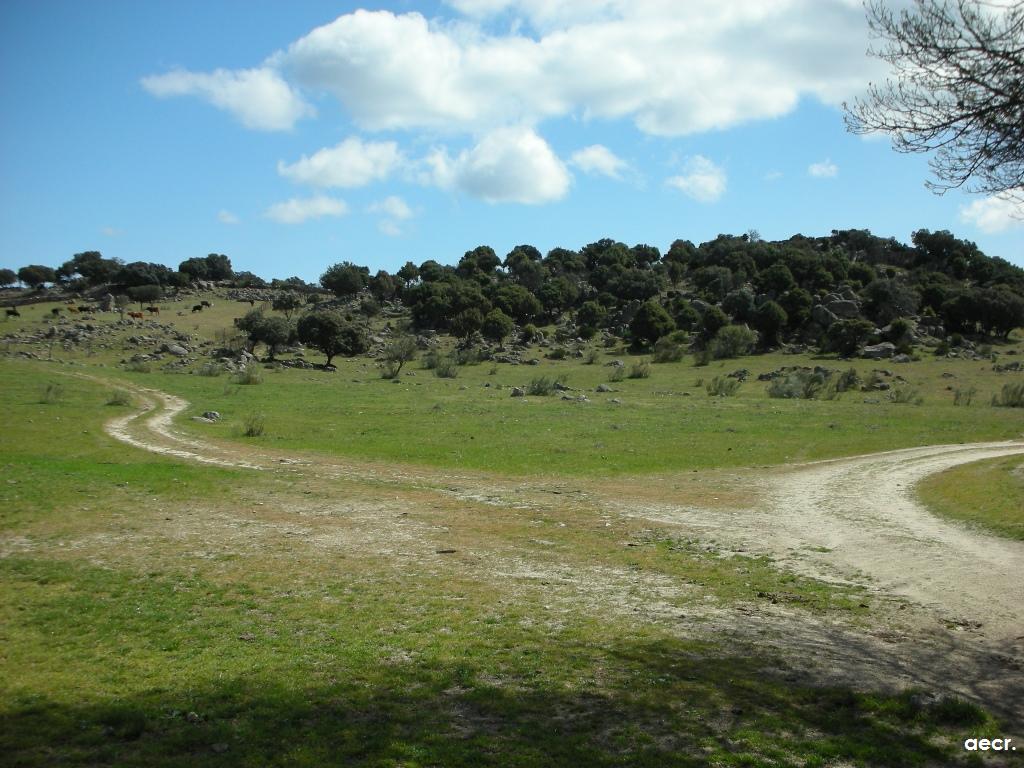 Foto de Valdemorillo (Madrid), España