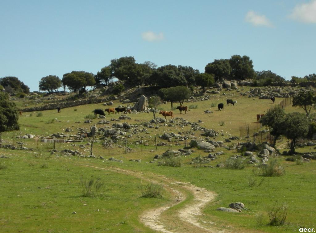 Foto de Valdemorillo (Madrid), España