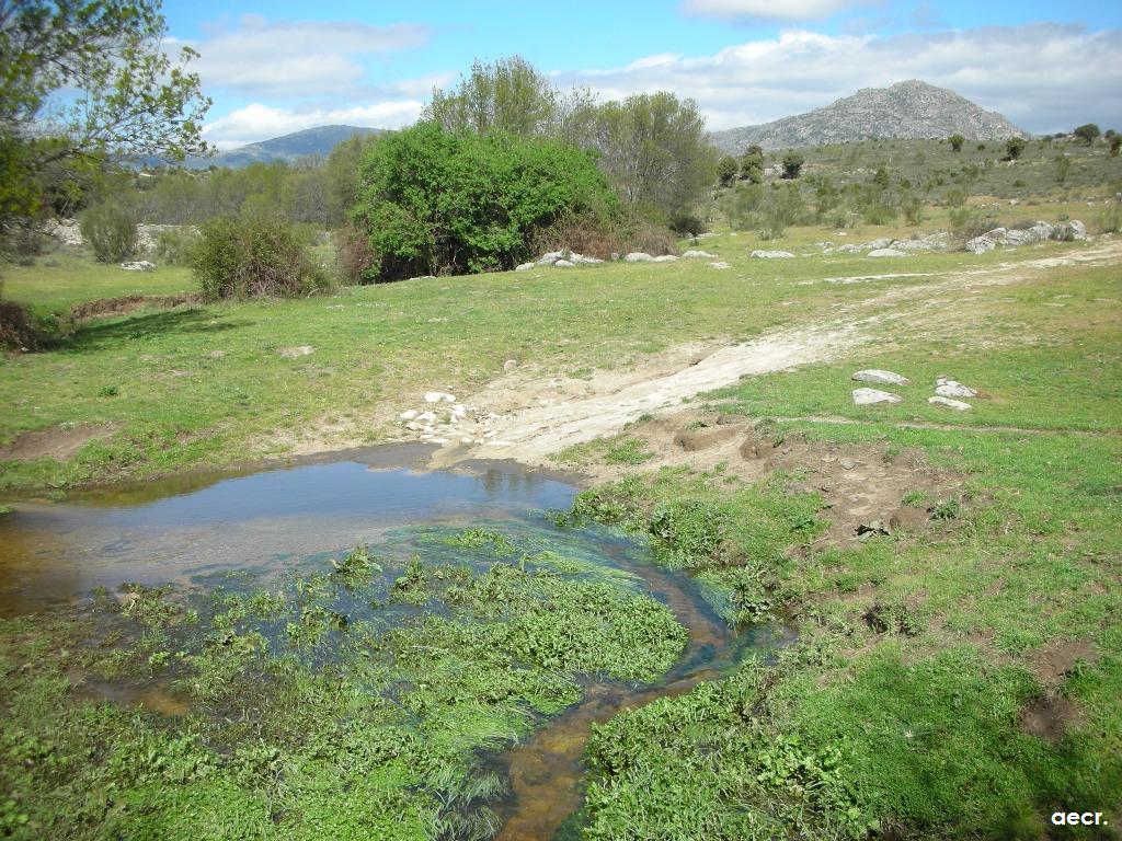 Foto de Valdemorillo (Madrid), España