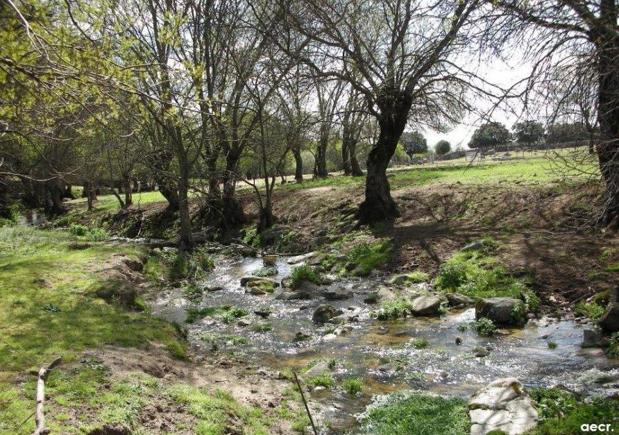 Foto de Valdemorillo (Madrid), España