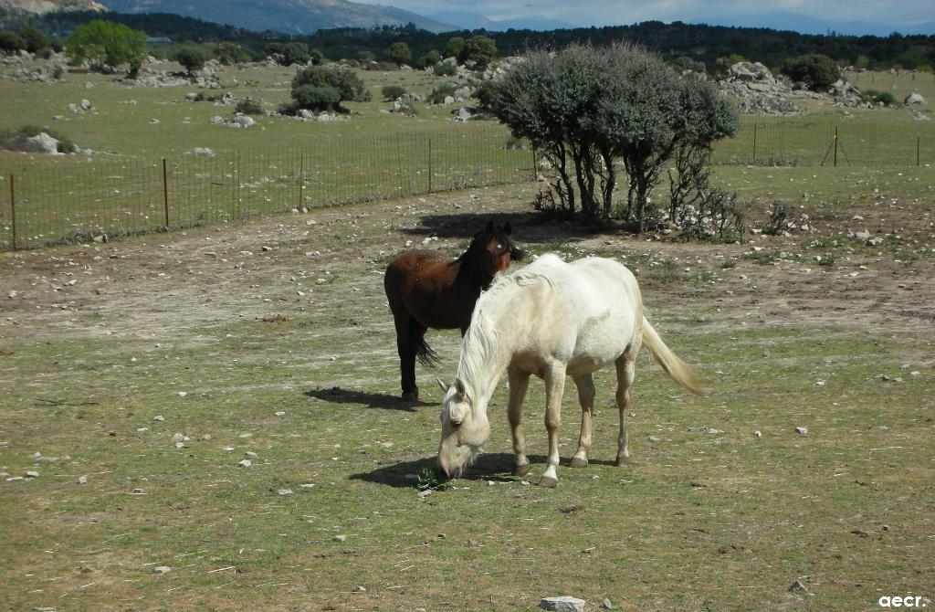 Foto de Valdemorillo (Madrid), España
