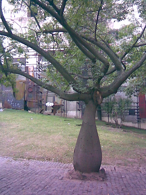 Foto de Buenos Aires, Argentina