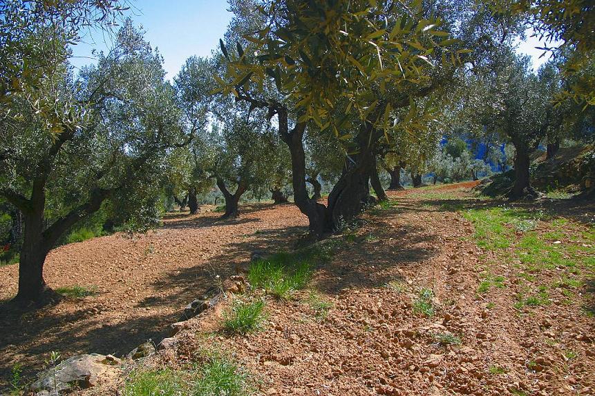 Foto de Horta de Sant Joan (Tarragona), España