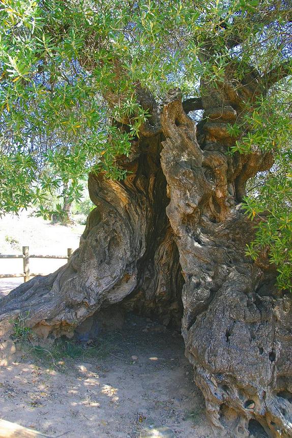 Foto de Horta de Sant Joan (Tarragona), España